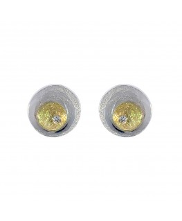 SILVER AND GOLD EARRINGS