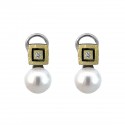 SILVER AND GOLD EARRINGS WITH OMEGA